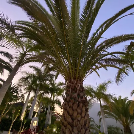 Appartement Adeje Paradise Costa Adeje (Tenerife)