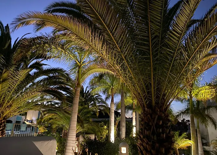 Appartement Adeje Paradise