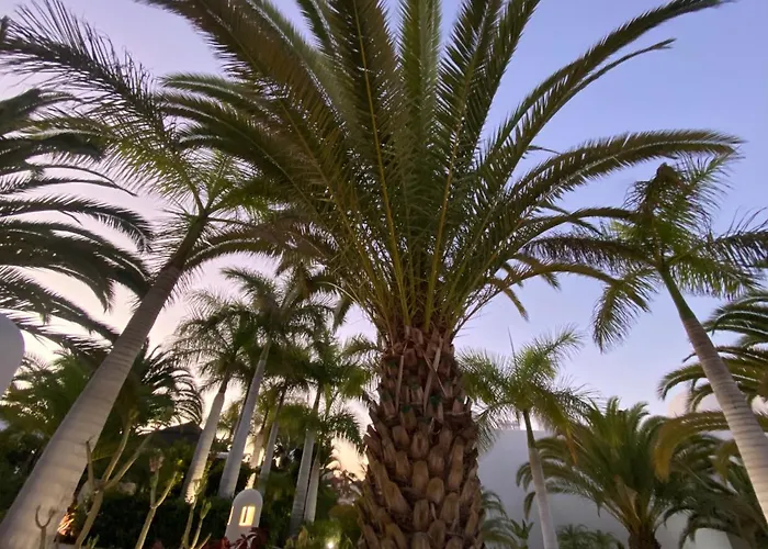 Daire Adeje Paradise Costa Adeje